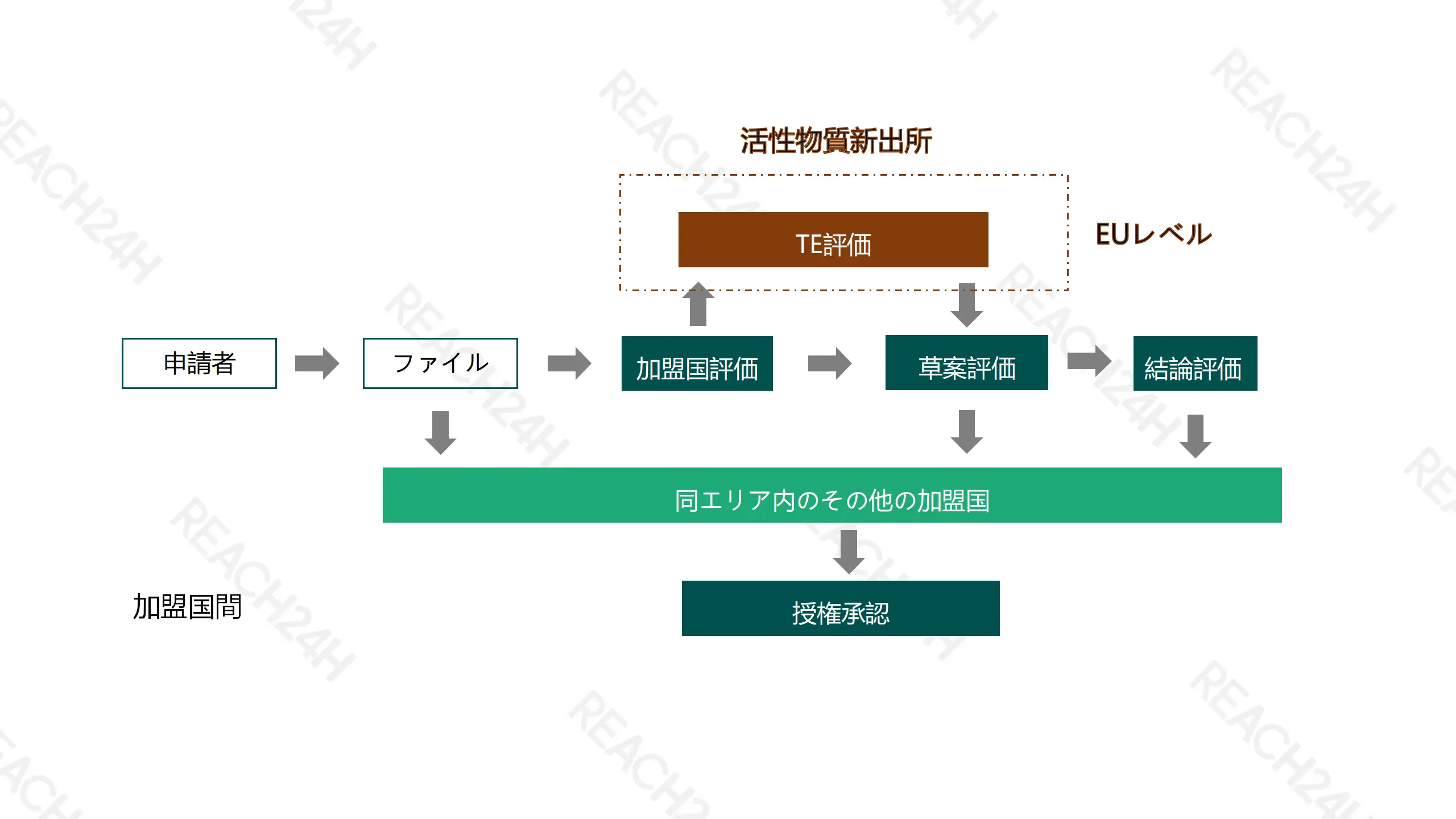 EU農薬製剤の加盟国評価から草案評価、結論評価、同一ゾーン内での承認までの流れ EU農薬製剤の加盟国評価から草案評価、結論評価、同一ゾーン内での承認までの流れ